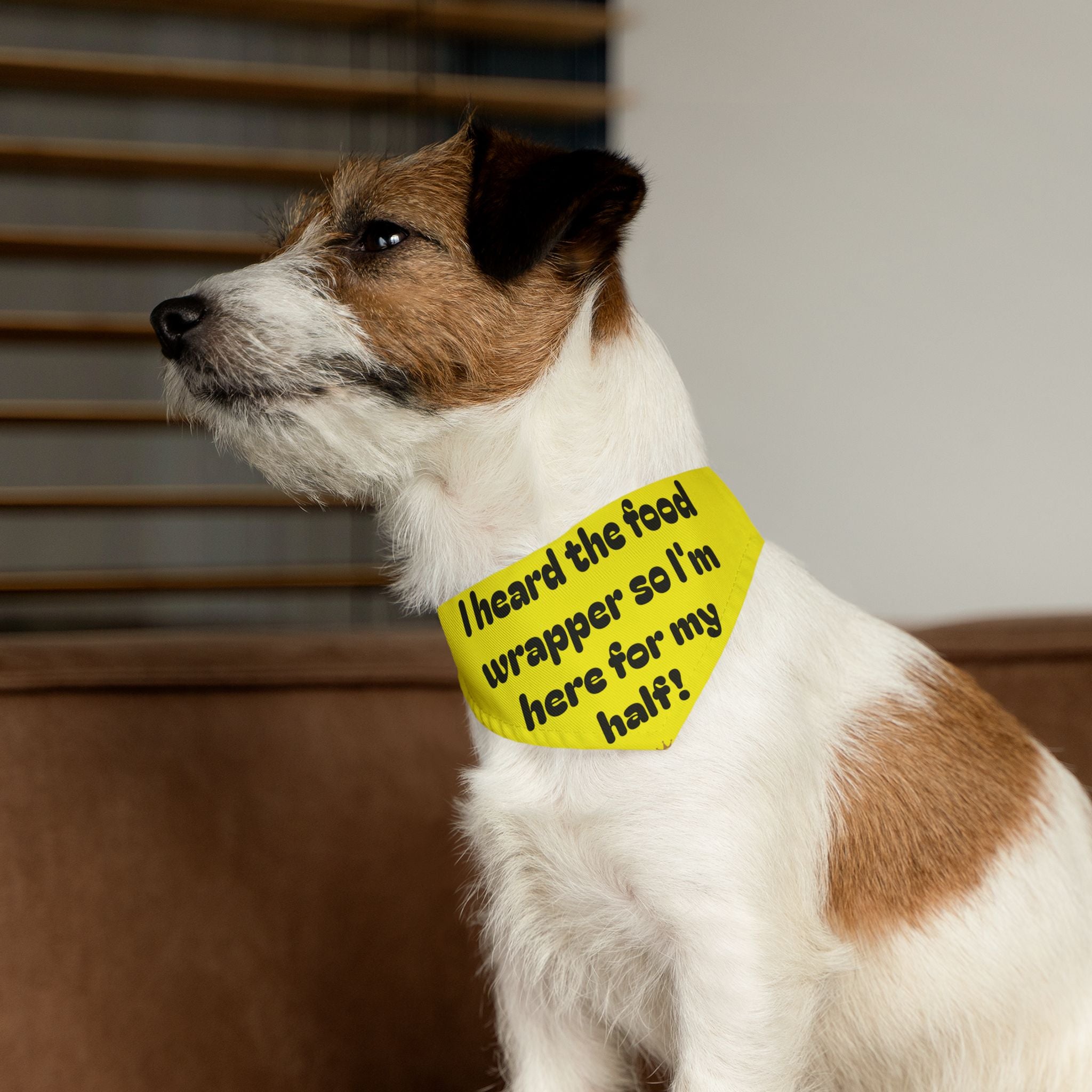 Creature Kingdom "I Heard the Food Wrapper So I'm Here for My Half!" Pet Bandana
