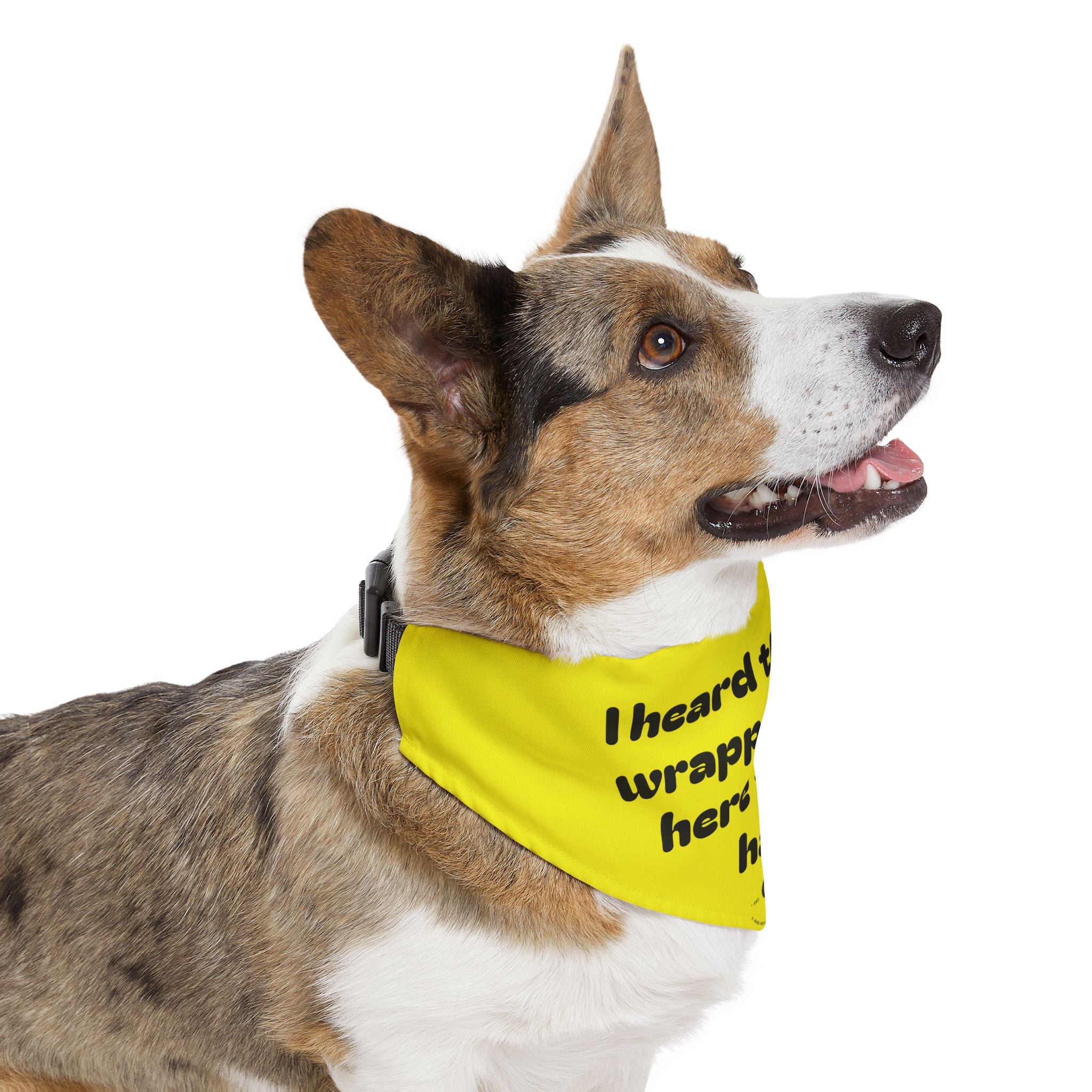 Creature Kingdom "I Heard the Food Wrapper So I'm Here for My Half!" Pet Bandana