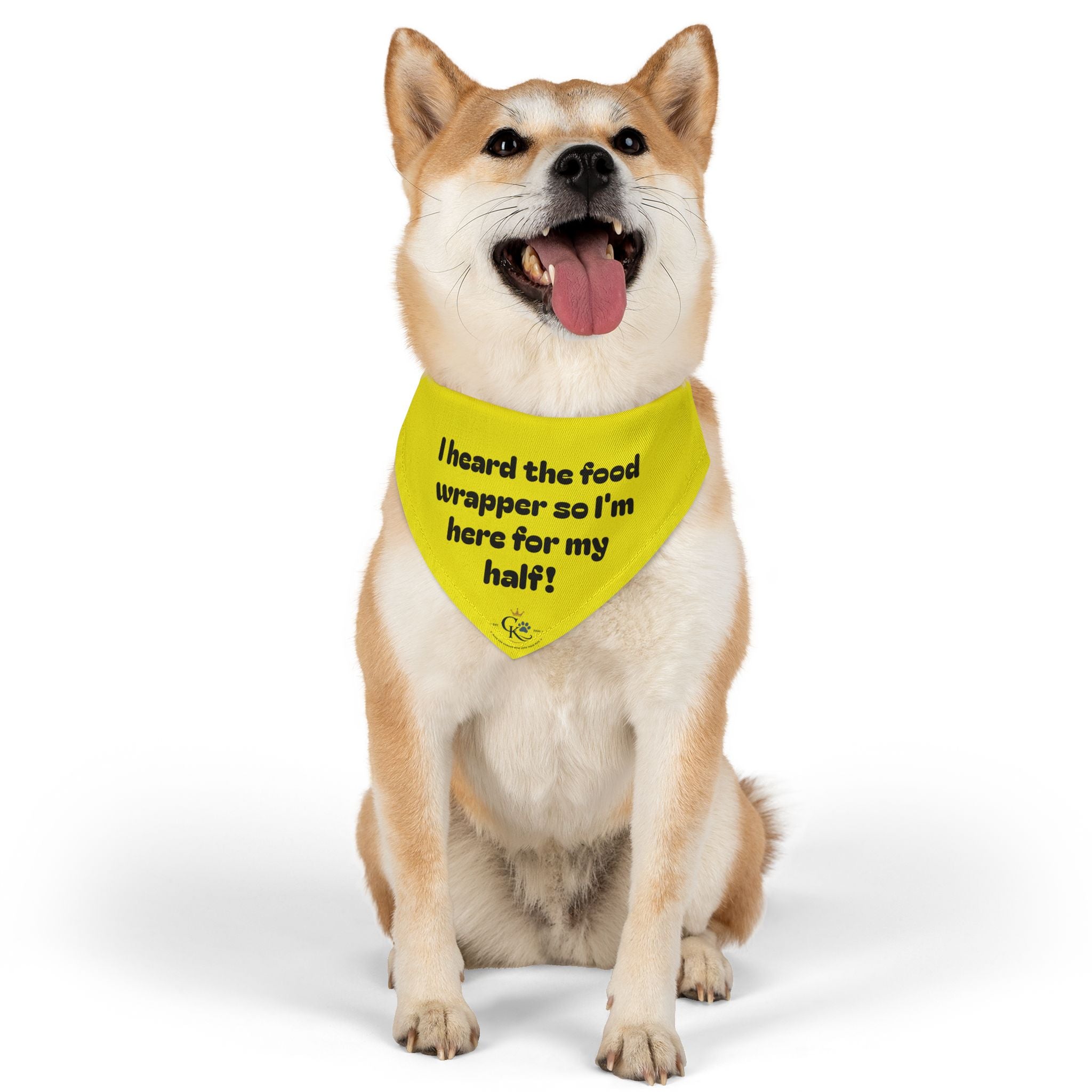Creature Kingdom "I Heard the Food Wrapper So I'm Here for My Half!" Pet Bandana